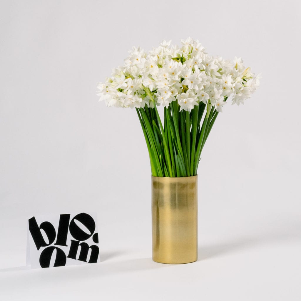 Silk White Paperwhites Sustainable Fresh Flower Delivery Bloom